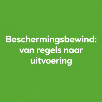 Beschermingsbewind: van regels naar uitvoering